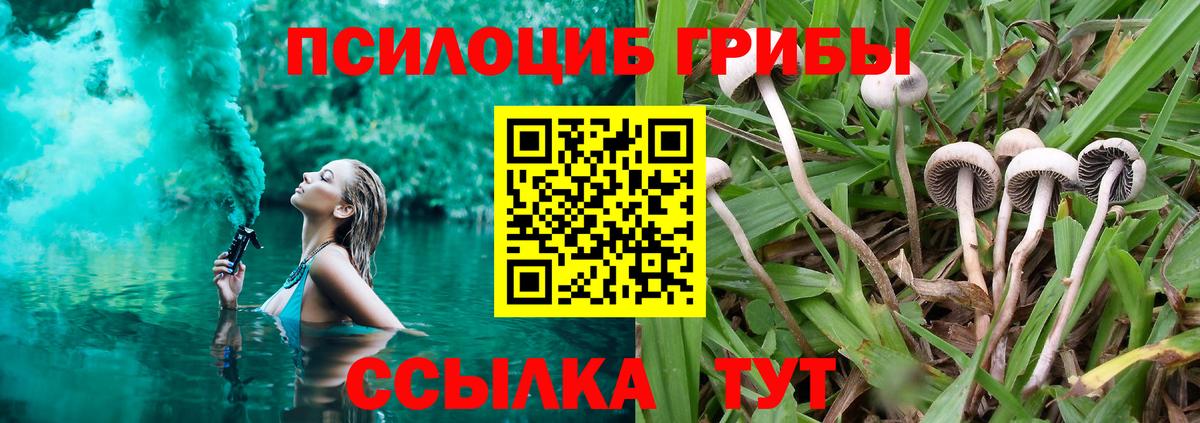Кубинка  Галлюциногенные грибы ЛСД  Вход с VPN  Псилоцибиновые грибы ЛСД 